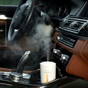 CAR Air Purifier Ultrasonic Humidifier USB Air Purifier LED Night Light Aromatherapy Humidifier LED Night Light