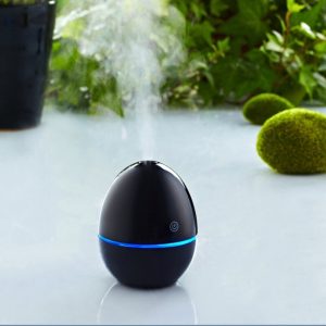 30ML Egg Shape Ultrasonic Ultra-quiet Essential Car Air Purifier Aromatherapy Mist Maker Air Freshener