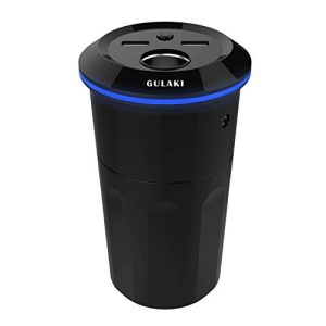 Gulaki Car Diffuser Essential Oils - Multifunction Cool Mist