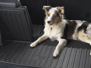 Genuine Toyota Cargo Liner