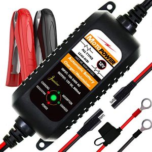 Battery Desulfator 800mA Automatic Battery Charger
