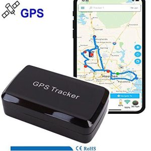 GPS/GSM/GPRS Tracking System with No Monthly Fee