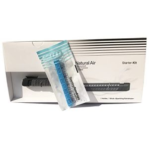 Interior Fragrance Natural Air Freshener Starter Kit (Grey)